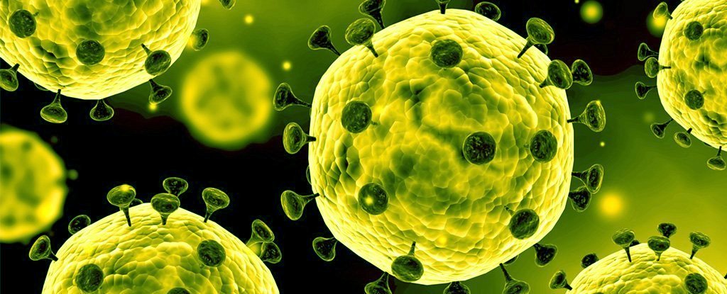 Corona Virus